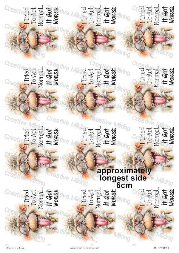Silly Monkey Funny Decoupage Rice Paper | RP7384d
