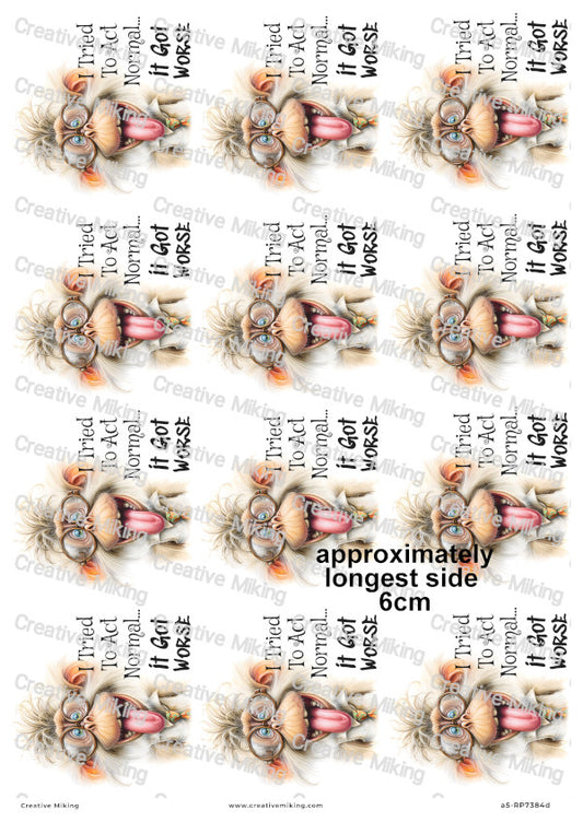 Silly Monkey Funny Decoupage Rice Paper | RP7384d