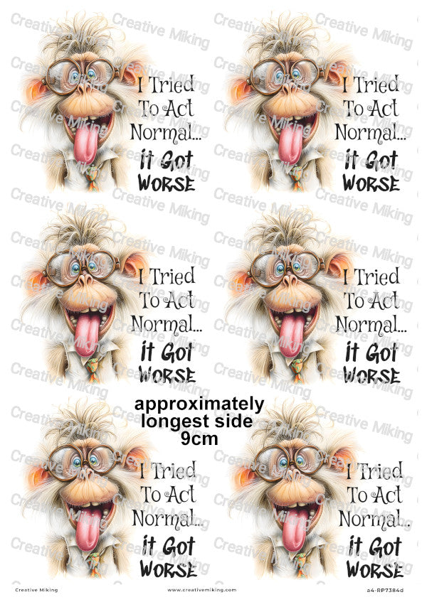 Silly Monkey Funny Decoupage Rice Paper | RP7384d