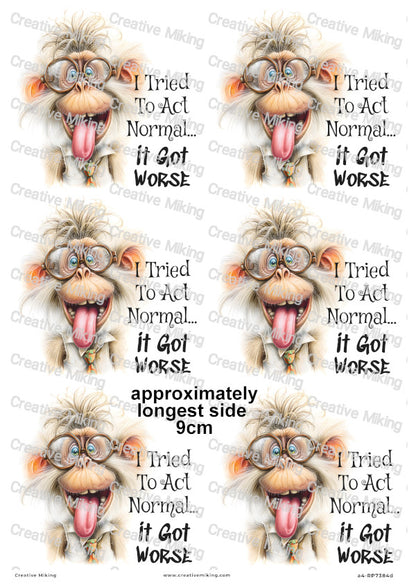 Silly Monkey Funny Decoupage Rice Paper | RP7384d