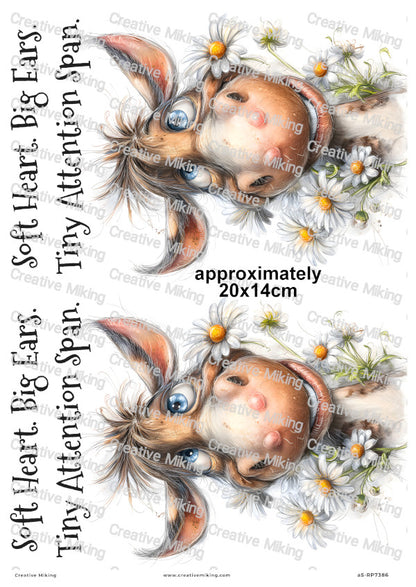 Horse With Daisies Funny Decoupage Rice Paper | RP7385