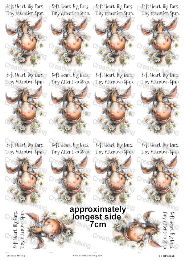 Horse With Daisies Funny Decoupage Rice Paper | RP7385b