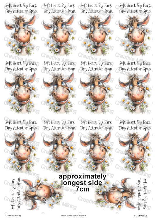 Horse With Daisies Funny Decoupage Rice Paper | RP7385b