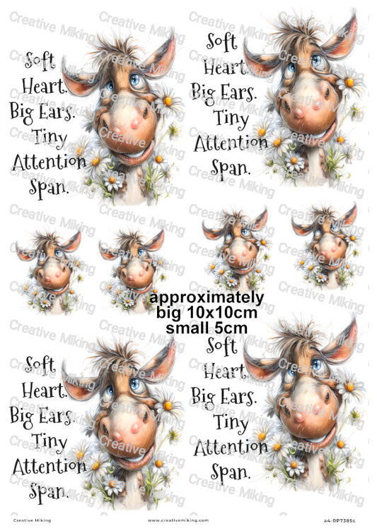 Horse With Daisies Funny Decoupage Rice Paper | RP7385c