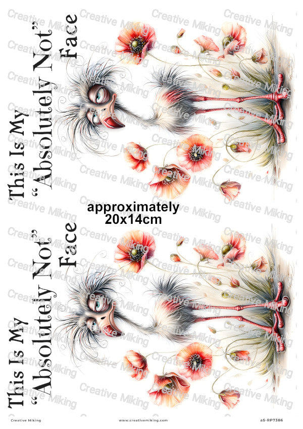 Grumpy Bird With Poppies Funny Decoupage Rice Paper | RP7386
