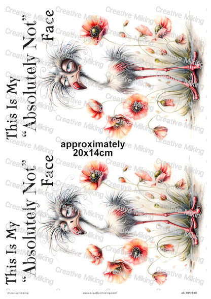 Grumpy Bird With Poppies Funny Decoupage Rice Paper | RP7386