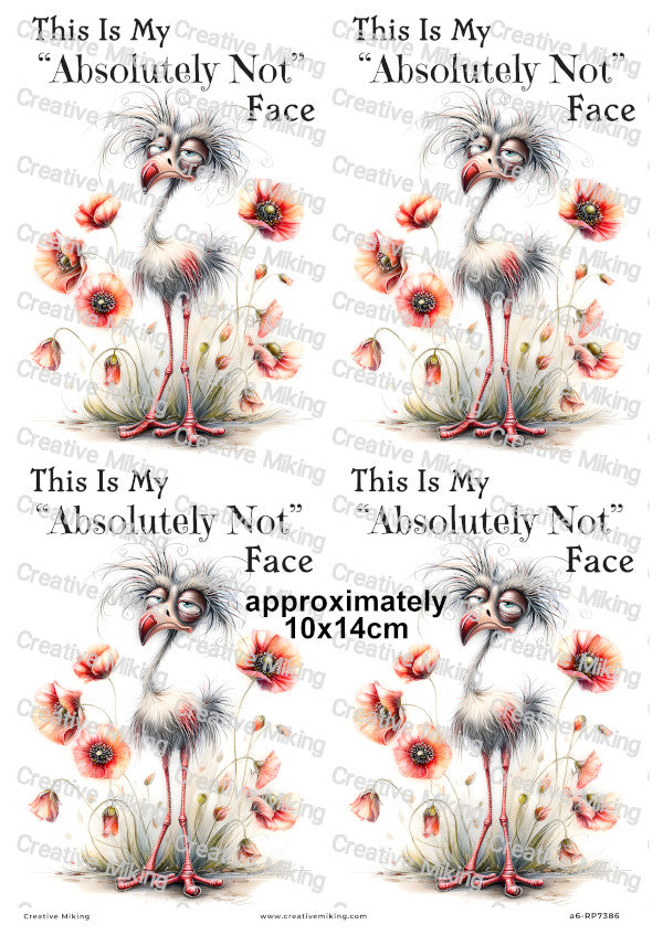 Grumpy Bird With Poppies Funny Decoupage Rice Paper | RP7386