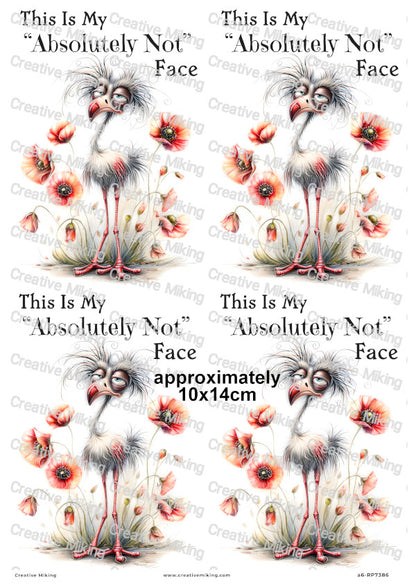 Grumpy Bird With Poppies Funny Decoupage Rice Paper | RP7386