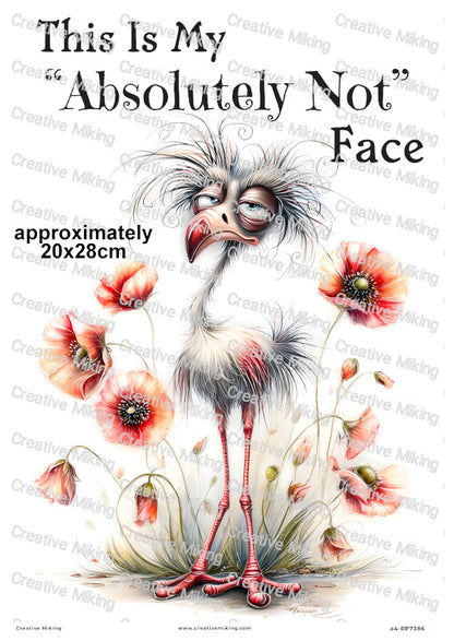 Grumpy Bird With Poppies Funny Decoupage Rice Paper | RP7386