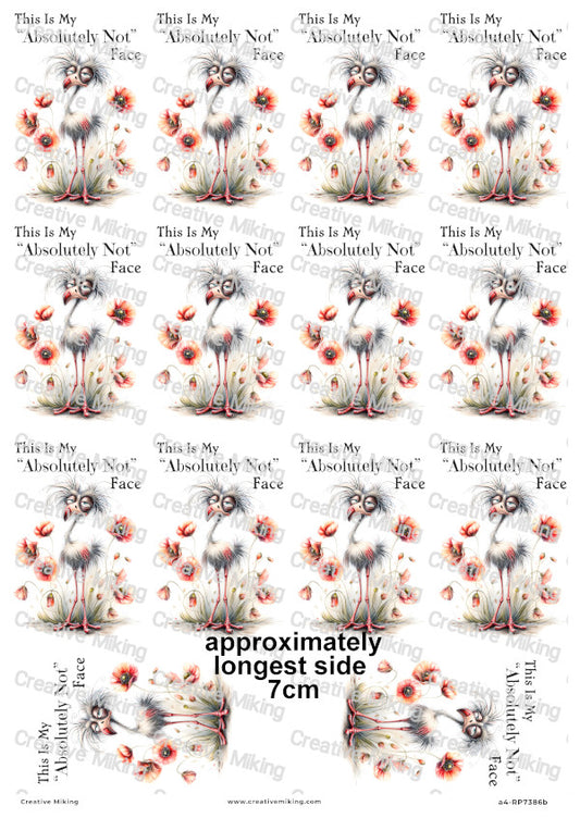Grumpy Bird With Poppies Funny Decoupage Rice Paper | RP7386b