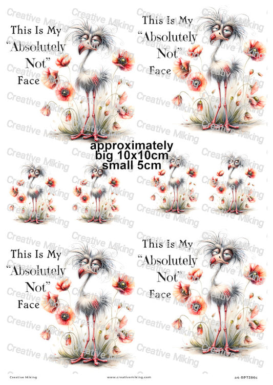 Grumpy Bird With Poppies Funny Decoupage Rice Paper | RP7386c