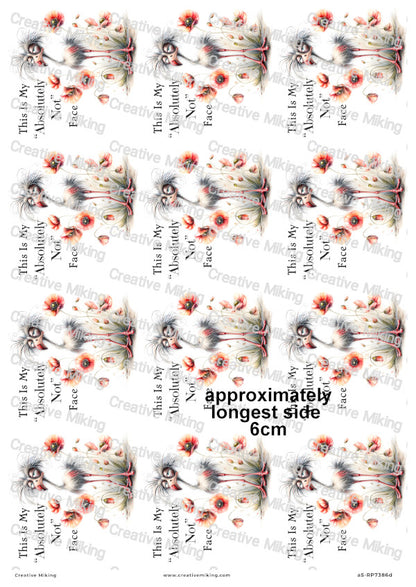 Grumpy Bird With Poppies Funny Decoupage Rice Paper | RP7386d