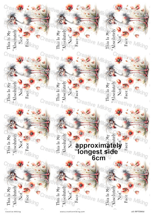 Grumpy Bird With Poppies Funny Decoupage Rice Paper | RP7386d