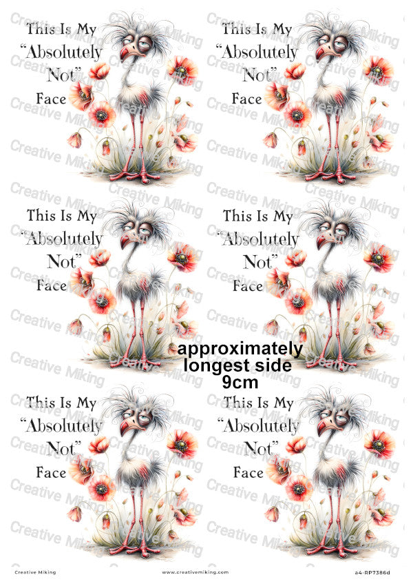 Grumpy Bird With Poppies Funny Decoupage Rice Paper | RP7386d