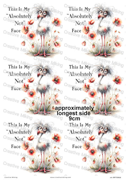 Grumpy Bird With Poppies Funny Decoupage Rice Paper | RP7386d