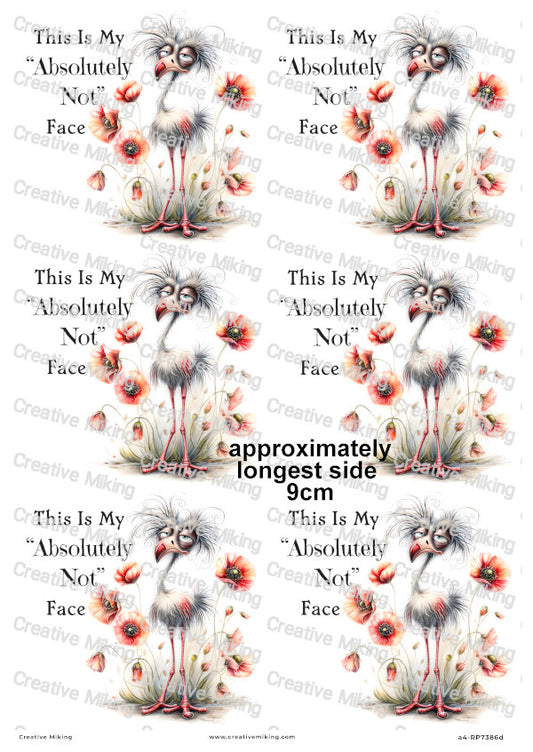 Grumpy Bird With Poppies Funny Decoupage Rice Paper | RP7386d