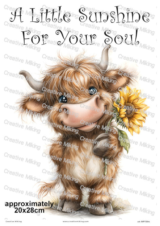 Highland Cow With Sunflower Uplifting Decoupage Rice Paper | RP7394
