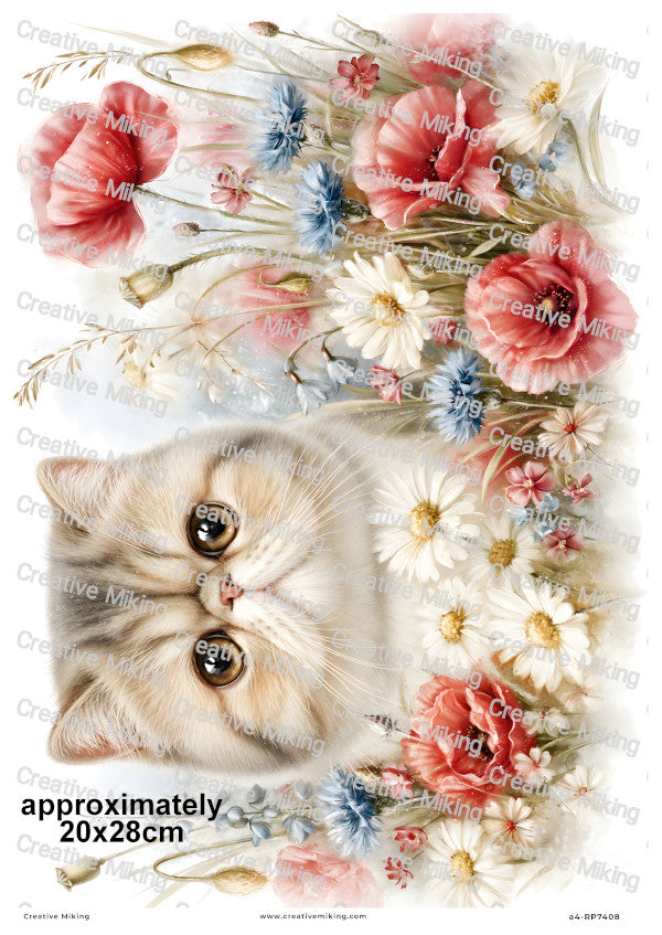 Exotic Shorthair Cat Decoupage Rice Paper | RP7408