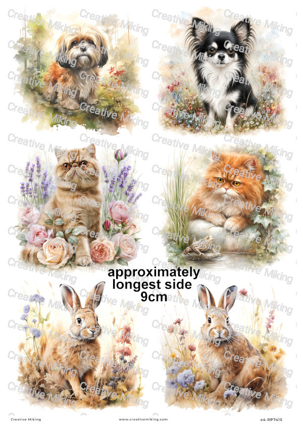 Pets And Rabbits In Wildflowers Decoupage Rice Paper | RP7415