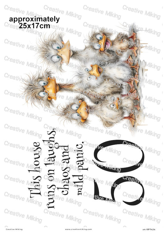 Duck Family Funny Decoupage Rice Paper | RP7424