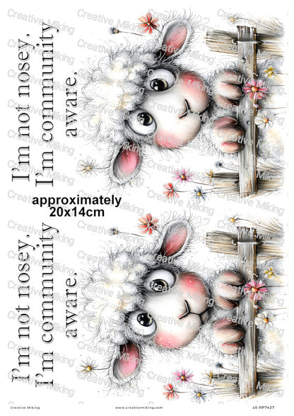 Nosey Sheep At The Fence Funny Decoupage Rice Paper | RP7427