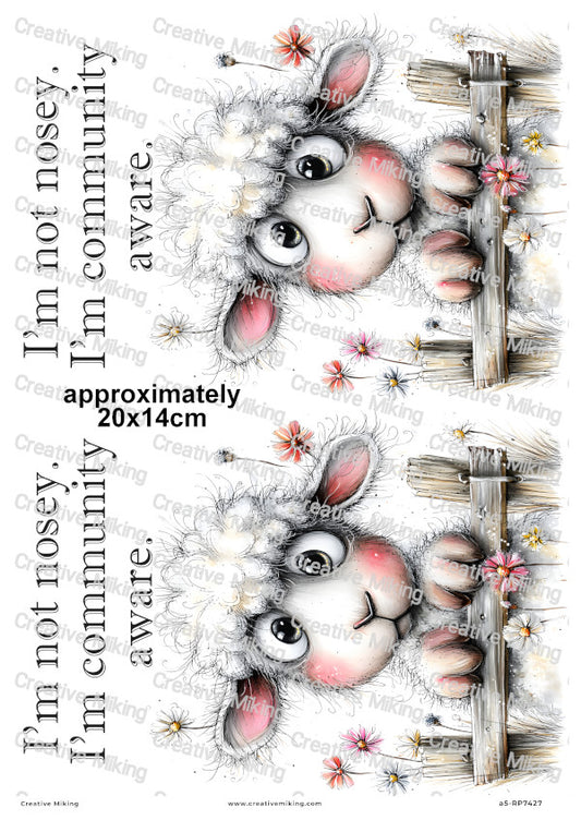 Nosey Sheep At The Fence Funny Decoupage Rice Paper | RP7427