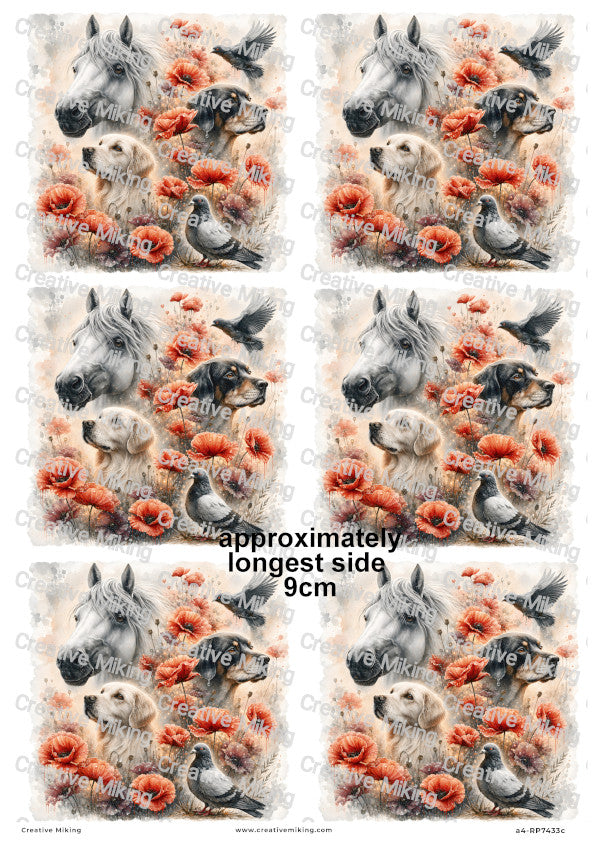 Horse Dogs And Birds In Poppy Field Remembrance Decoupage Rice Paper | RP7433c