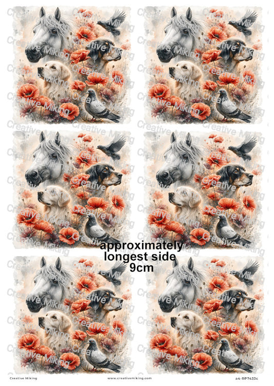 Horse Dogs And Birds In Poppy Field Remembrance Decoupage Rice Paper | RP7433c
