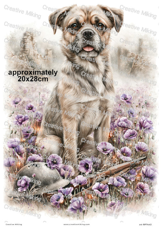 Dog In Poppy Field Remembrance Decoupage Rice Paper | RP7443