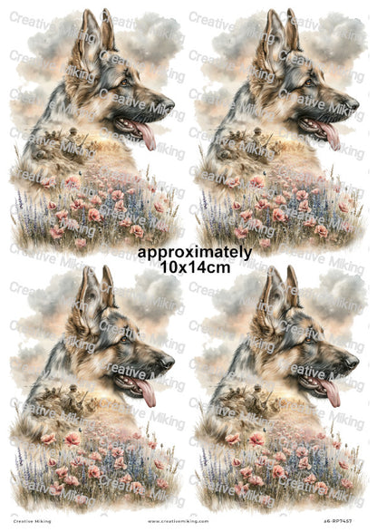German Shepherd In Poppy Field Remembrance Decoupage Rice Paper | RP7457