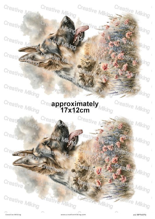 German Shepherd In Poppy Field Remembrance Decoupage Rice Paper | RP7457b