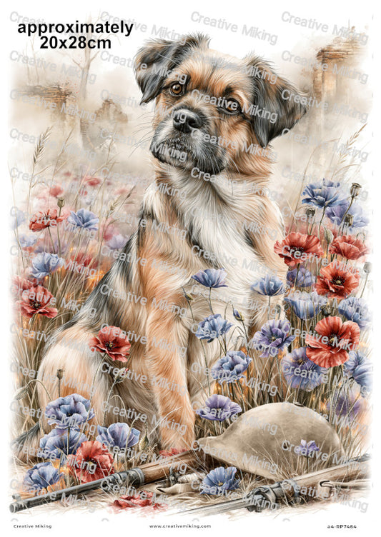 Dog In Poppy Field Remembrance Decoupage Rice Paper | RP7464