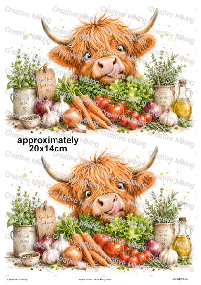 Highland Cow With Fresh Herbs And Vegetables Funny Decoupage Rice Paper | RP7484