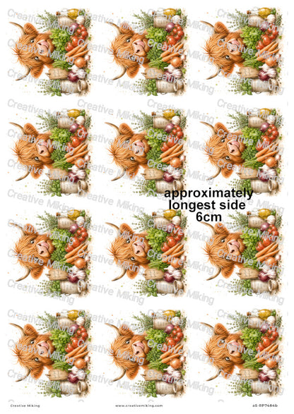 Highland Cow With Fresh Herbs And Vegetables Funny Decoupage Rice Paper | RP7484b