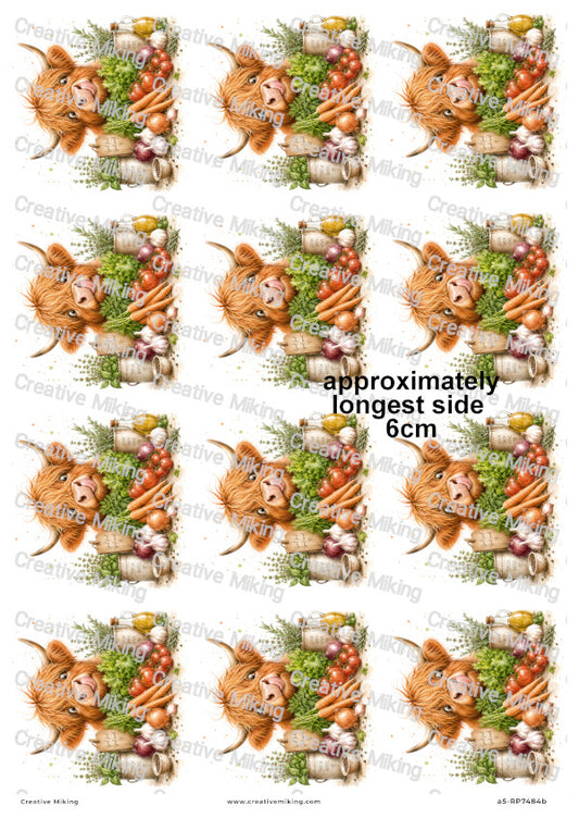 Highland Cow With Fresh Herbs And Vegetables Funny Decoupage Rice Paper | RP7484b