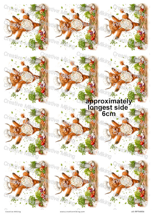 Highland Cow Chef Funny Decoupage Rice Paper | RP7485b