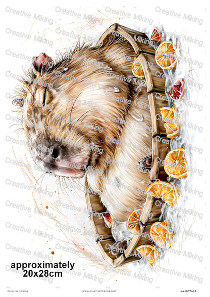 Capybara Spa Day Funny Decoupage Rice Paper | RP7493
