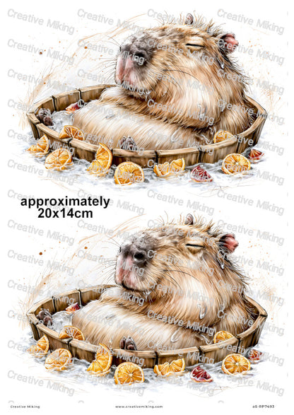 Capybara Spa Day Funny Decoupage Rice Paper | RP7493