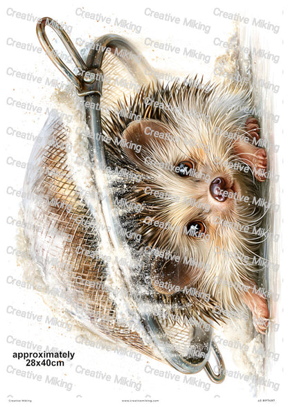 Hedgehog In Flour Sieve Funny Decoupage Rice Paper | RP7497