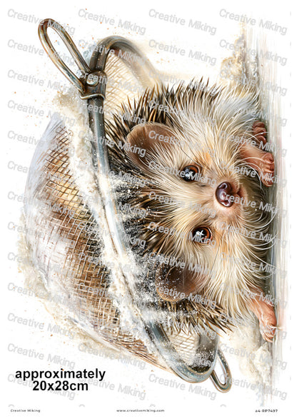 Hedgehog In Flour Sieve Funny Decoupage Rice Paper | RP7497