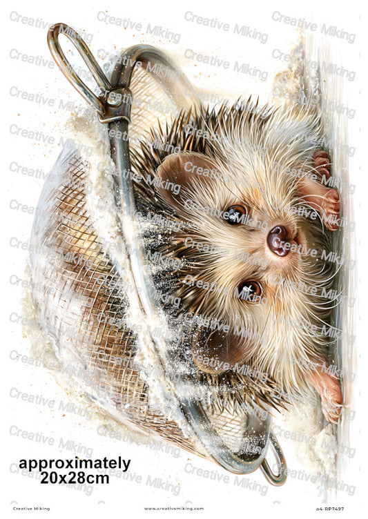 Hedgehog In Flour Sieve Funny Decoupage Rice Paper | RP7497