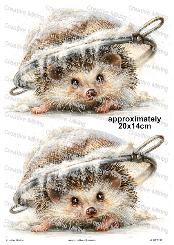 Hedgehog In Flour Sieve Funny Decoupage Rice Paper | RP7497