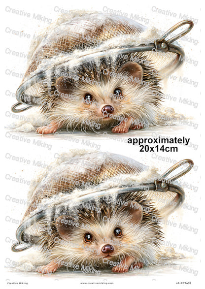Hedgehog In Flour Sieve Funny Decoupage Rice Paper | RP7497