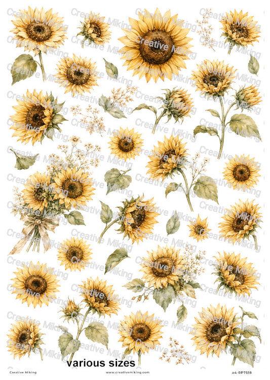 Sunflower Elements Decoupage Rice Paper | RP7518