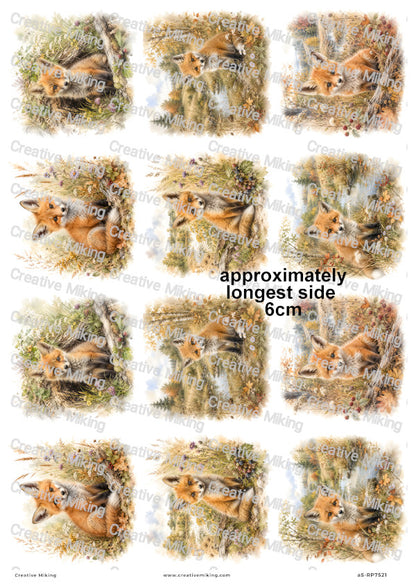 Baby Fox In Autumn Meadow Decoupage Rice Paper | RP7521