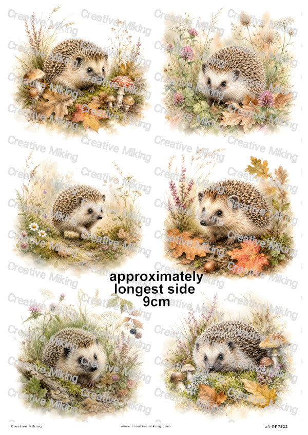 Hedgehog In Autumn Meadow Decoupage Rice Paper | RP7522