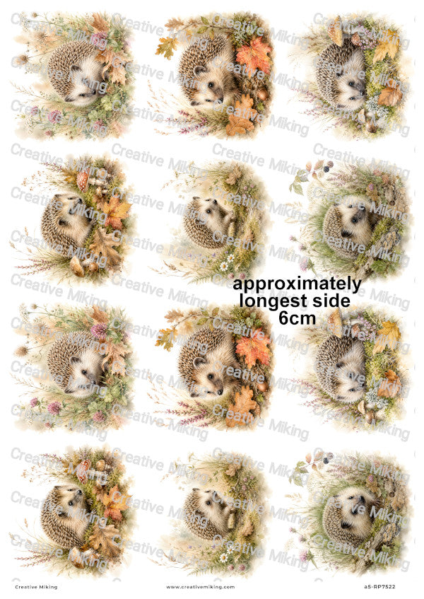 Hedgehog In Autumn Meadow Decoupage Rice Paper | RP7522