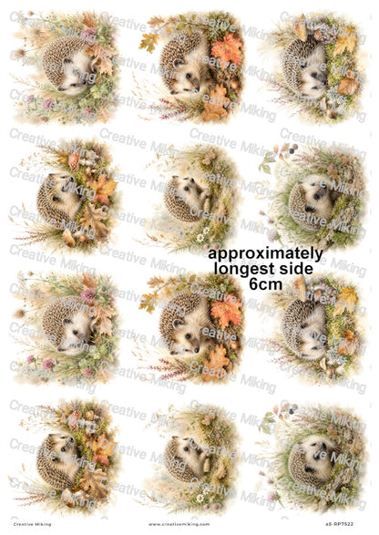 Hedgehog In Autumn Meadow Decoupage Rice Paper | RP7522