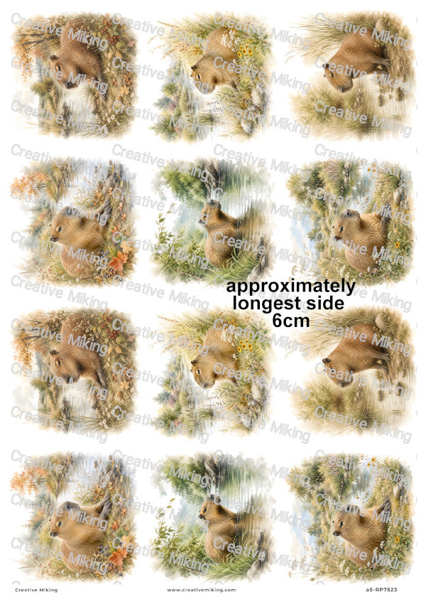 Capybara By The River Decoupage Rice Paper | RP7523