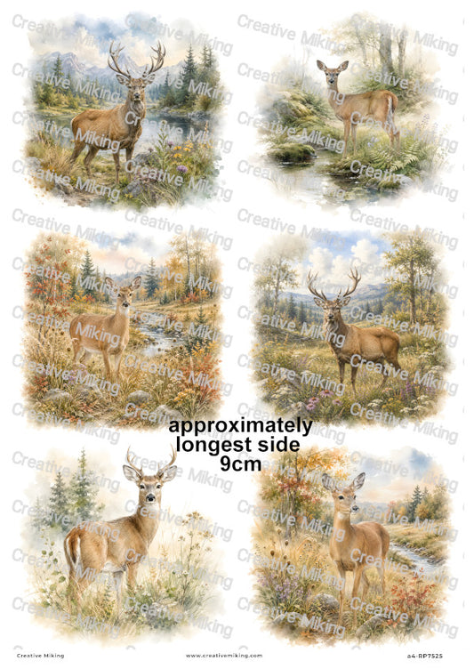 Deer In Autumn Meadow Decoupage Rice Paper | RP7525